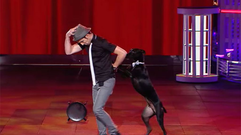 El atípico tango de Alberto y su perro Rocky se lleva la máxima puntuación