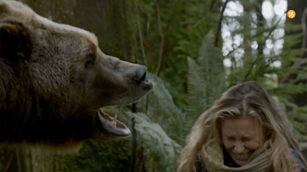 'Territorio Grizzly': Una batalla a vida o muerte