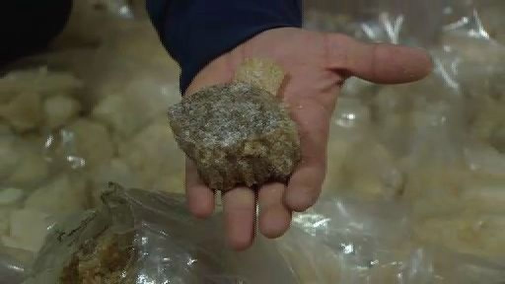 Incautados 100 kilos de éxtasis en Madrid