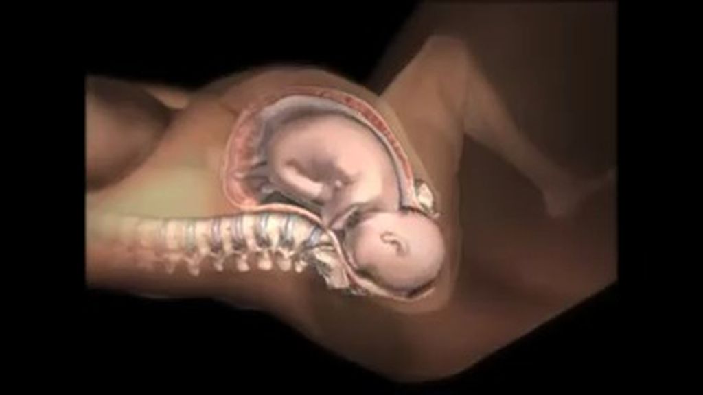 La mecánica más intima del parto, en imágenes