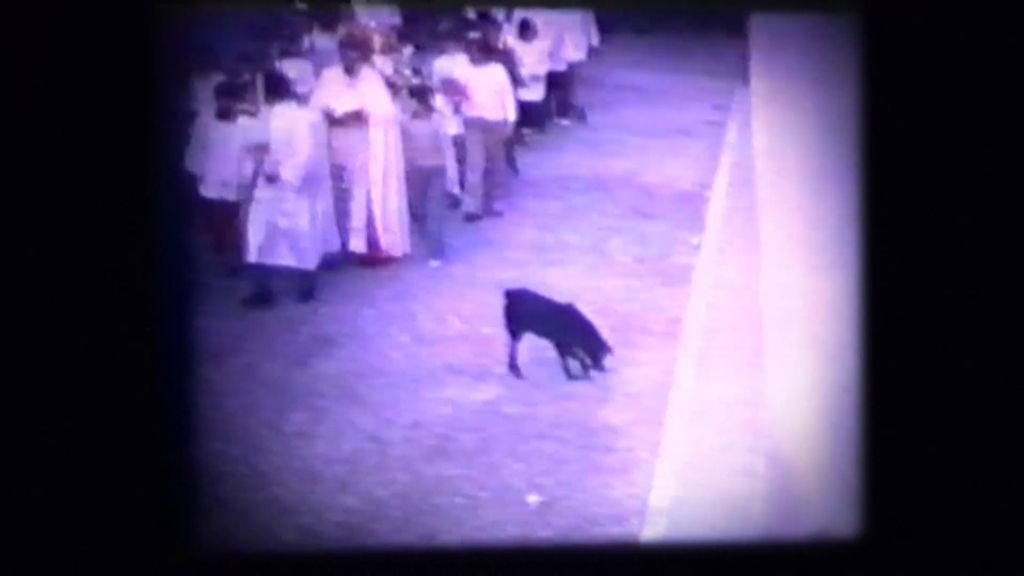“El Moro”, el Perro de los Entierros que olía la muerte en Fernán Nuñez