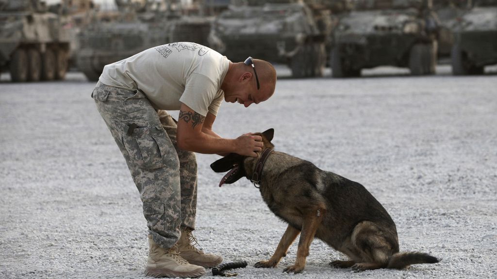 Una perra se reencuentra con su entrenador tras su trabajo detectando bombas