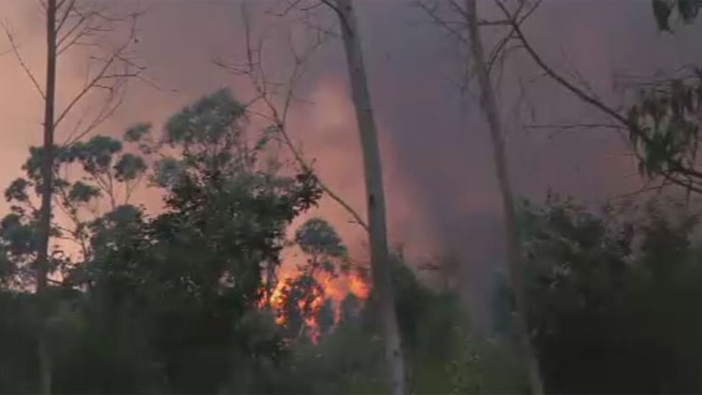 Preocupación por los casi 200 incendios forestales que asolan Galicia en cinco días