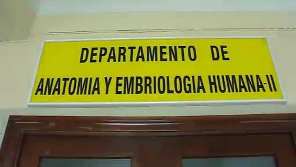 Decenas de cadáveres se acumulan en la Facultad de Medicina de la Complutense