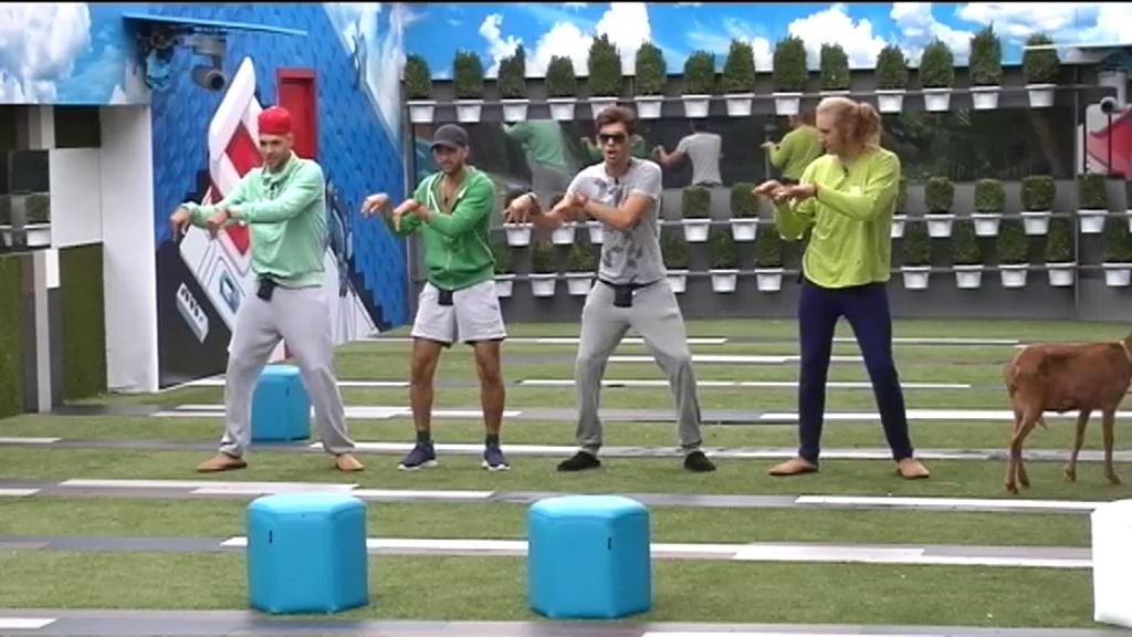 Resumen diario de 'GH 15' (29/09/14)