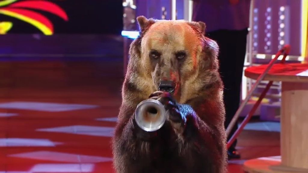 Pavel y el oso que toca la trompeta, baila el 'hula hoop y posar para hacerse un selfie