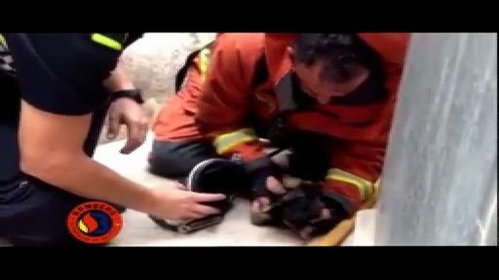 Respiración boca-hocico para salvar a un cachorro