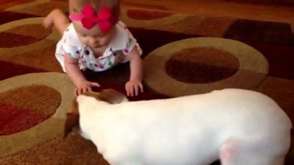 Una niña aprende a gatear gracias a su perro