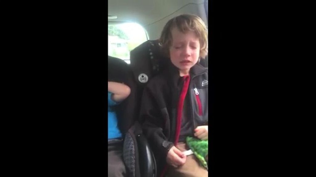 Un niño llora desconsoladamente por la destrucción del medioambiente