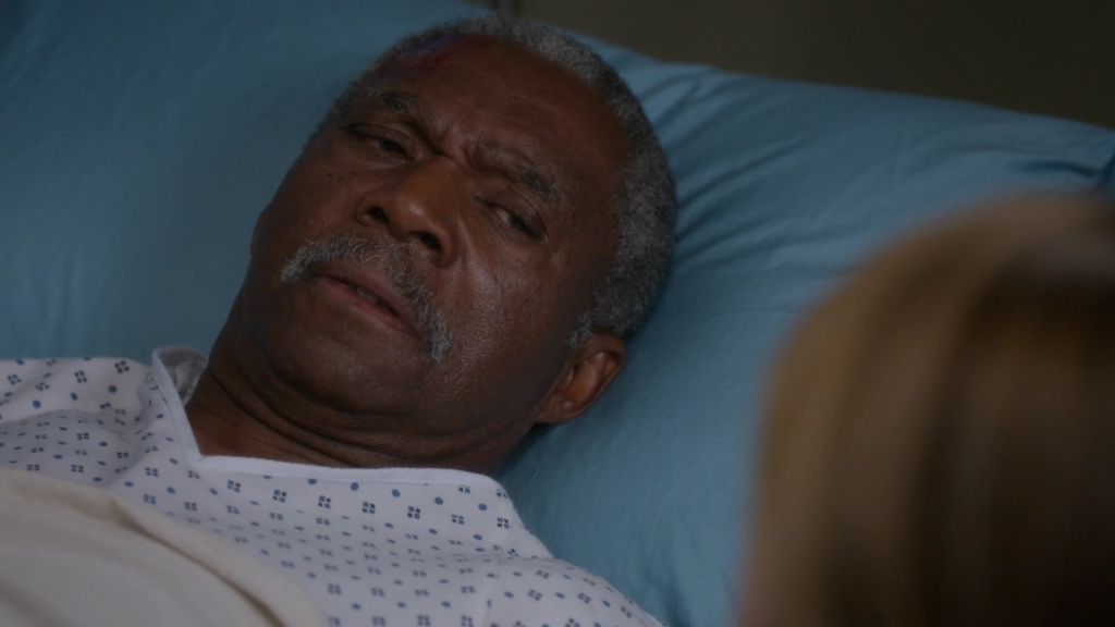 Meredith, testigo de un amor secreto