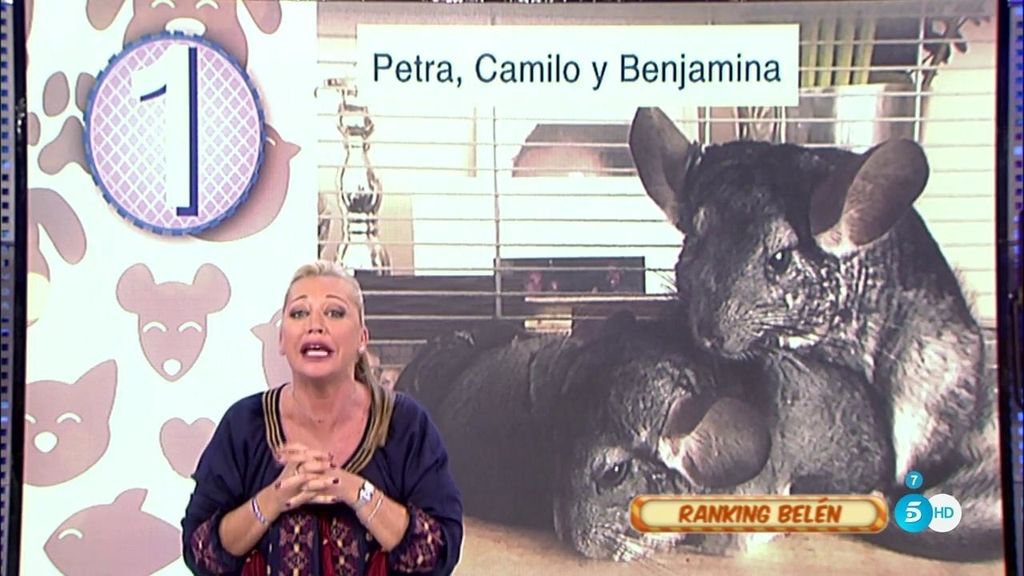 Belén Esteban presenta su ranking de las mascotas de 'Sálvame'