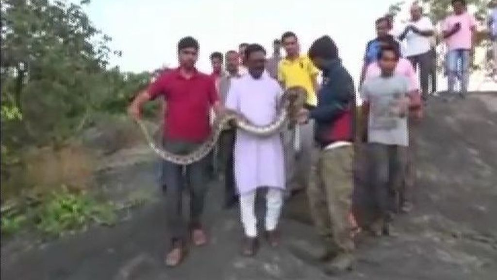 La serpiente que odiaba los selfis