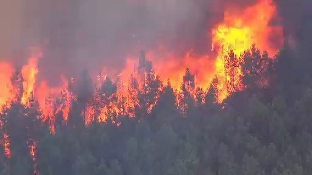 Ciento setenta incendios activos en el centro y norte de Portugal
