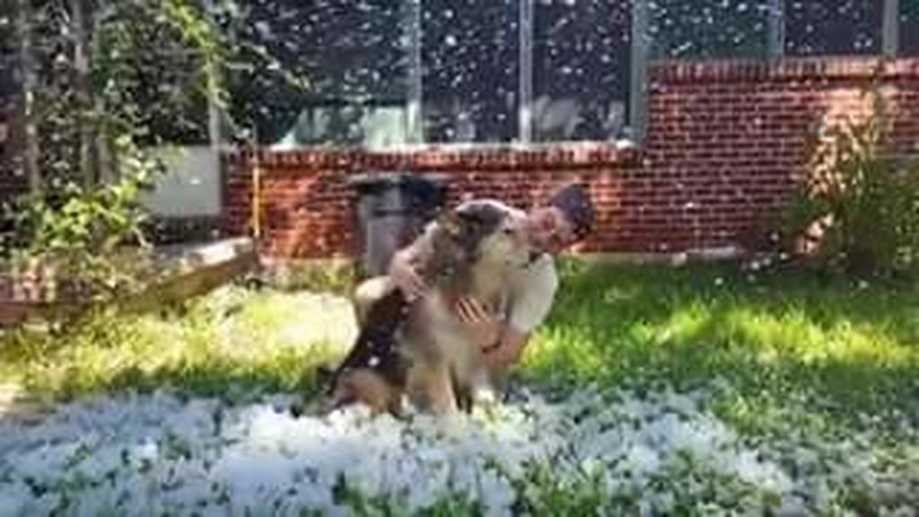 Hace nevar en su jardín para cumplir el último ‘deseo’ de su perro