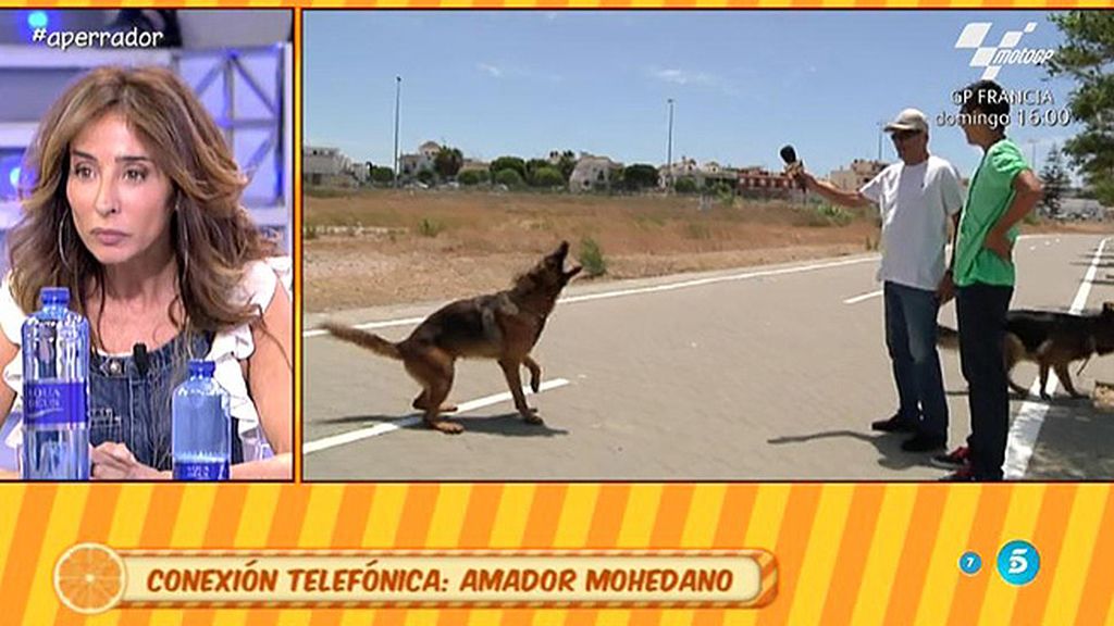 Amador Mohedano: “Mi perro es inocente”