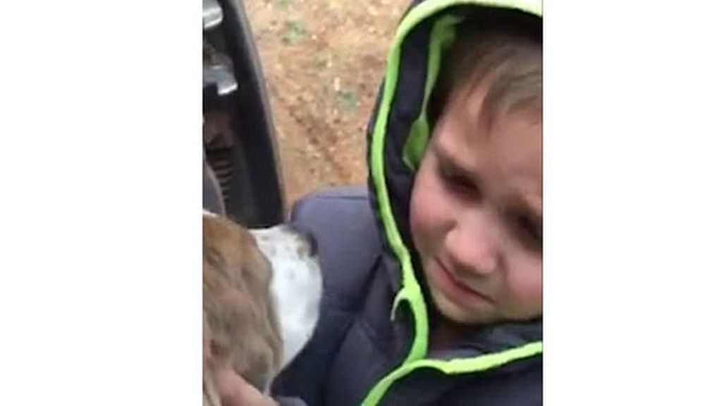 Las lágrimas de un pequeño al recuperar a su perro perdido durante un mes