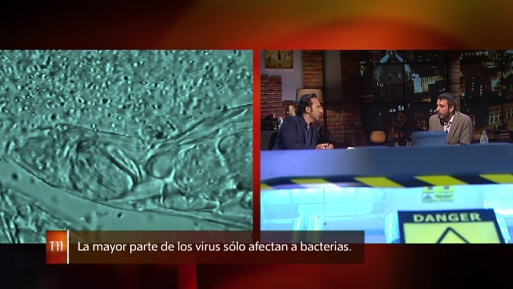 Profesor Martínez, sobre los nuevos virus: “No son un peligro para la Humanidad”