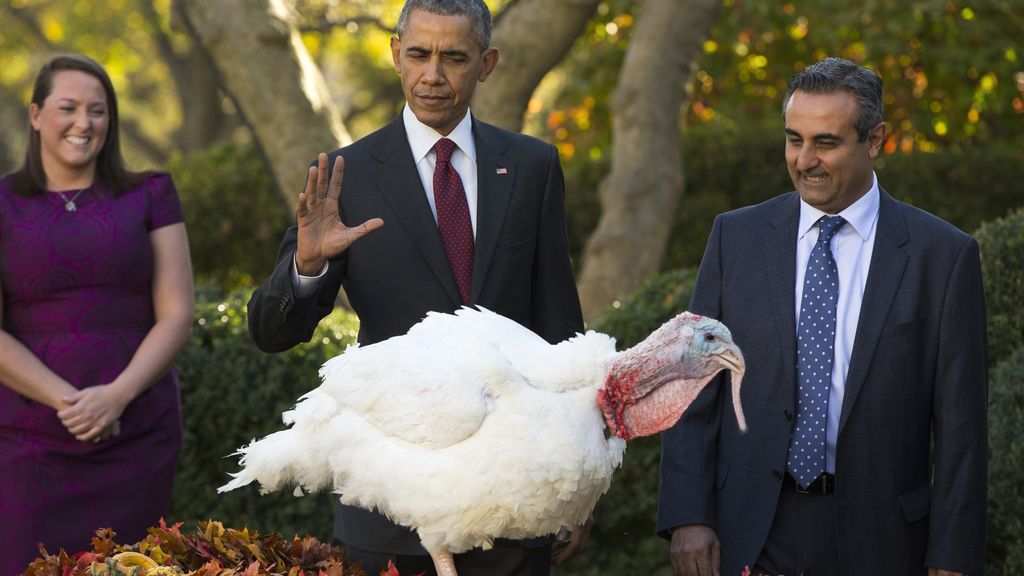 Obama cumple con la tradición del indulto del pavo por Acción de Gracias