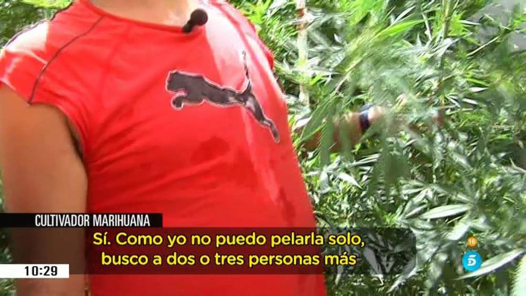 Un narcotraficante de Granada nos enseña su plantación de marihuana