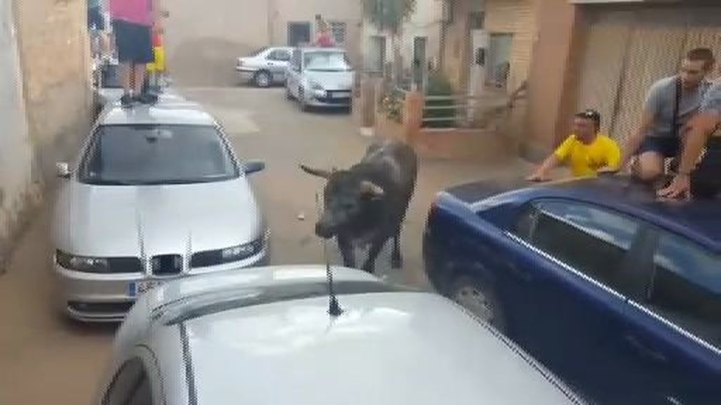 Un novillo se sale del recorrido, coge a una niña y la hiere gravemente