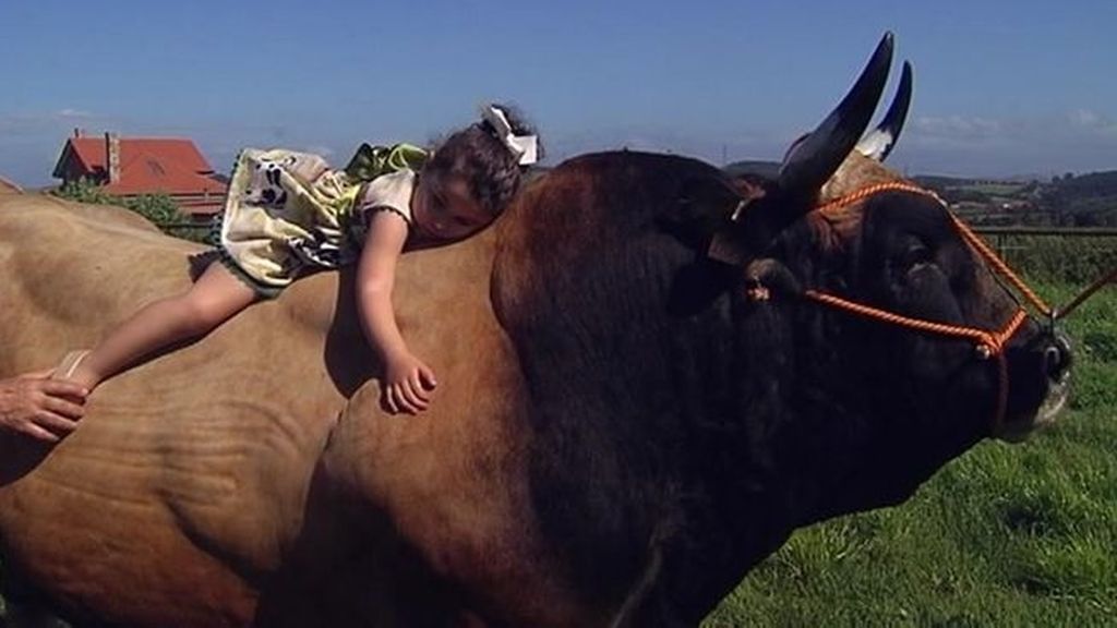 La increíble amistad entre una niña y un toro de 1800 kilos