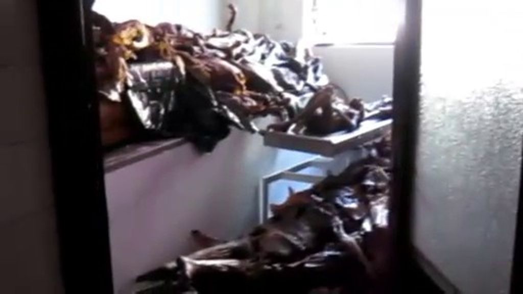 Decenas de cadáveres se acumulan en la Facultad de Medicina de la Complutense