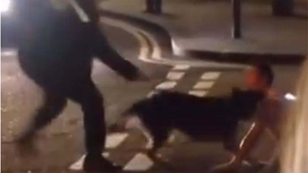 Un perro de la policía muerde en el cuello a un detenido indefenso