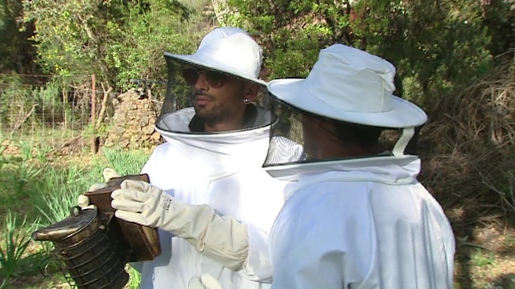 Una cita entre abejorros y trajes sexys de apicultor, este sábado en 'Amores perros'