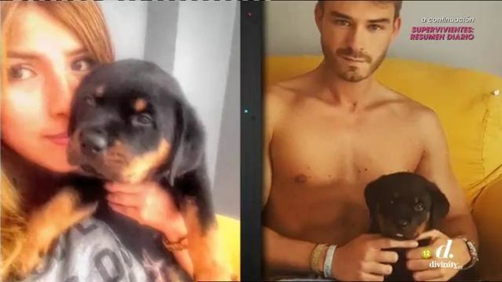 ¡¿Chabelita y Josema tienen casualmente el mismo cachorro y el mismo sofá?!