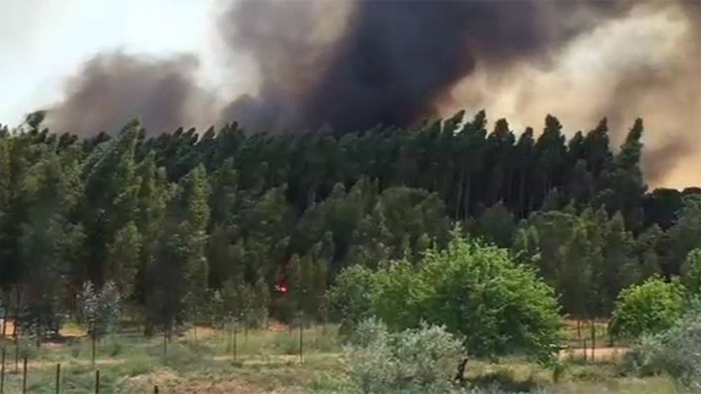 Huelva sufre la devastación del primer incendio de importancia de la temporada
