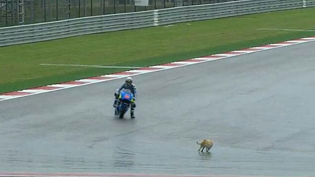 ¡Un perro se cuela en los entrenamientos libres de MotoGP en el circuito de Austin!