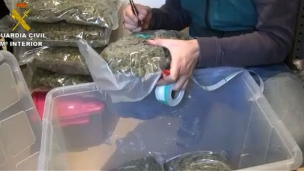 Desarticulan una red de narcotraficantes que acumulaba kilos de marihuana para su venta