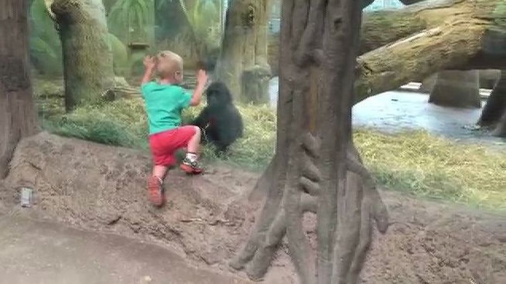 ¡A que no me pillas! Divertido juego de un gorila con un niño en el zoo