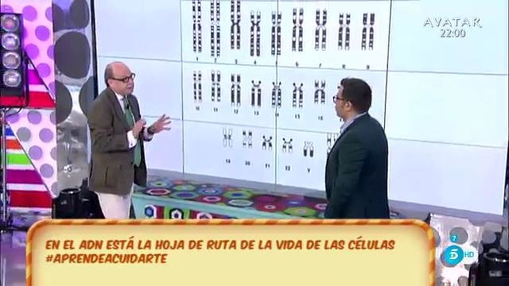 ¿Sabías que el envejecimiento celular se puede evitar ingiriendo cinc o riboflavina?