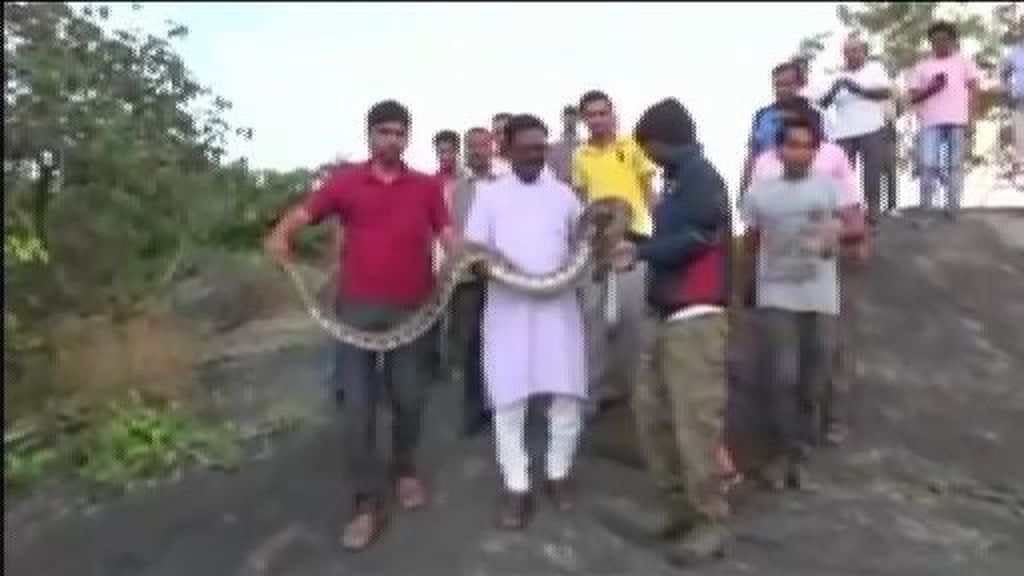 La serpiente que odiaba los selfis