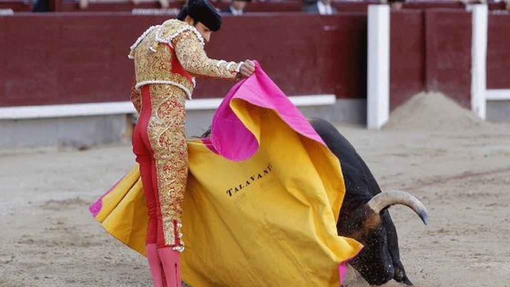 El ministerio de Educación prepara una FP de tauromaquia