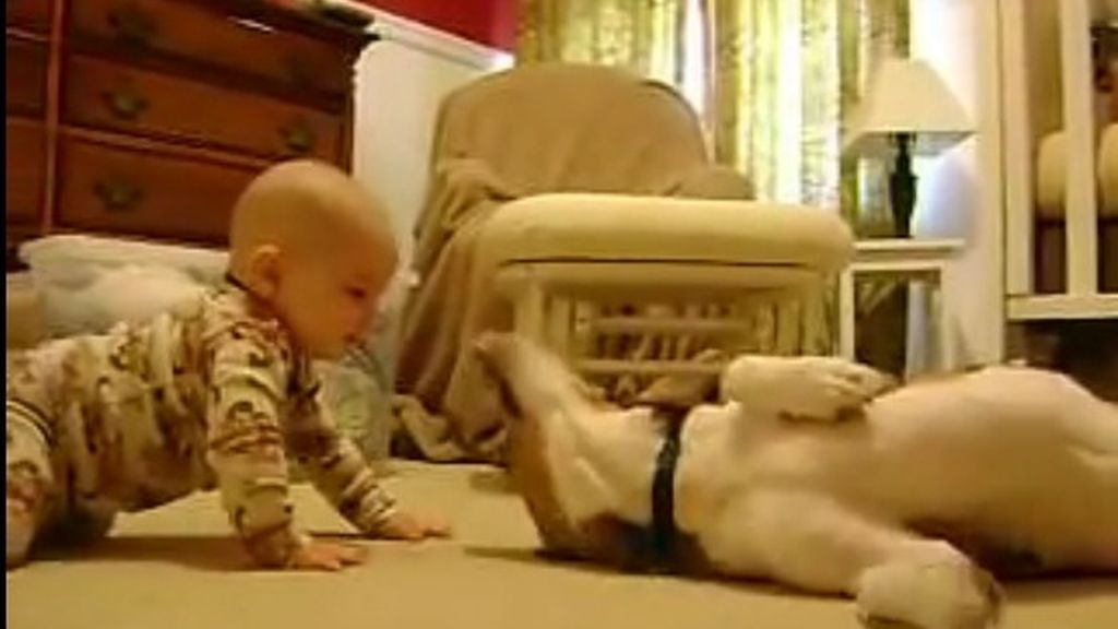 El dulce encuentro entre un bebé y su perro