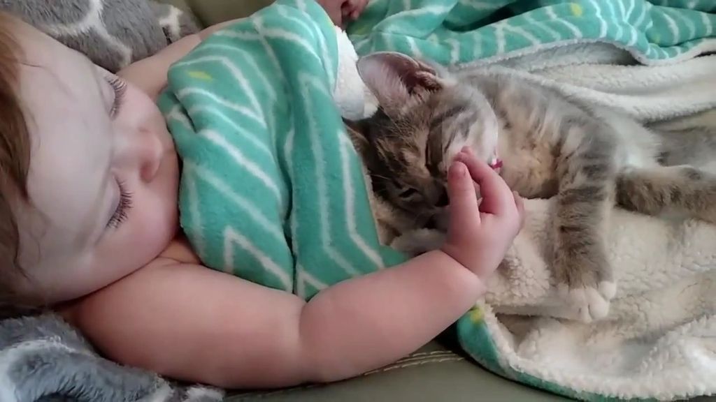 El tierno despertar de una bebé y su nueva mejor amiga