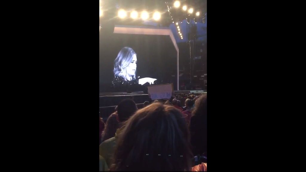 Adele se enfada con una fan durante un concierto en Verona