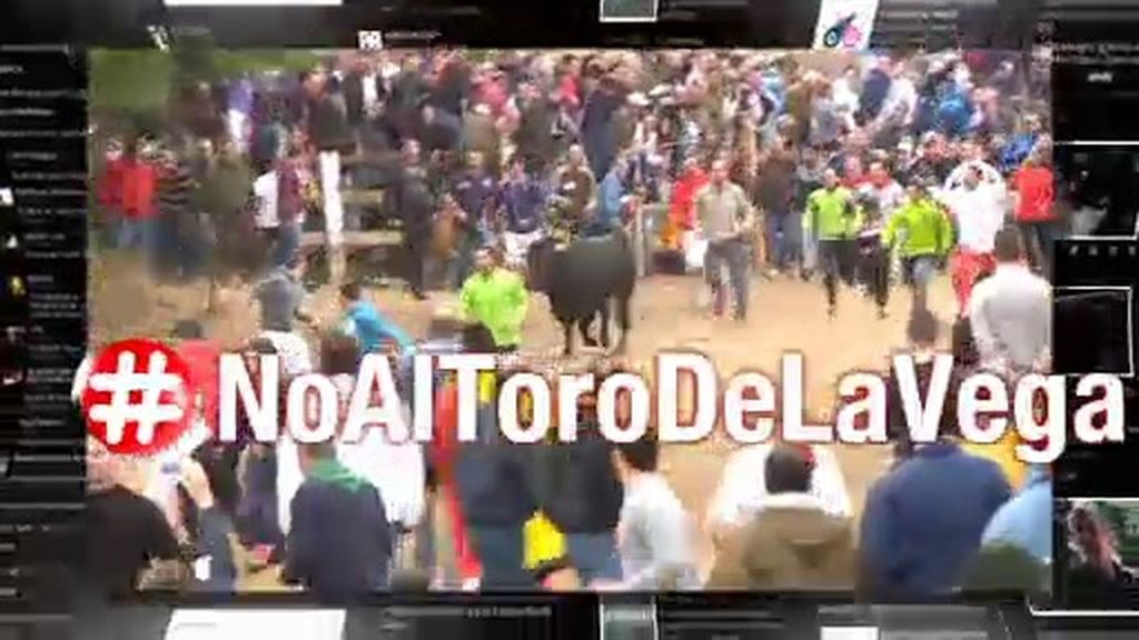 #HoyEnLasRed: Internet grita un contundente #NoAlToroDeLaVega