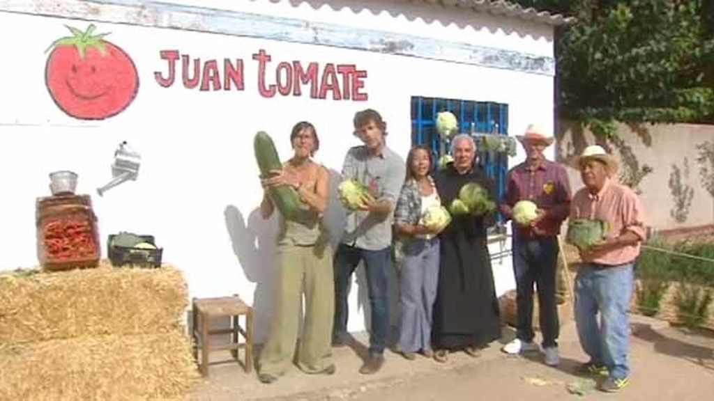 'Juan Tomate', el huerto que cultiva esperanza