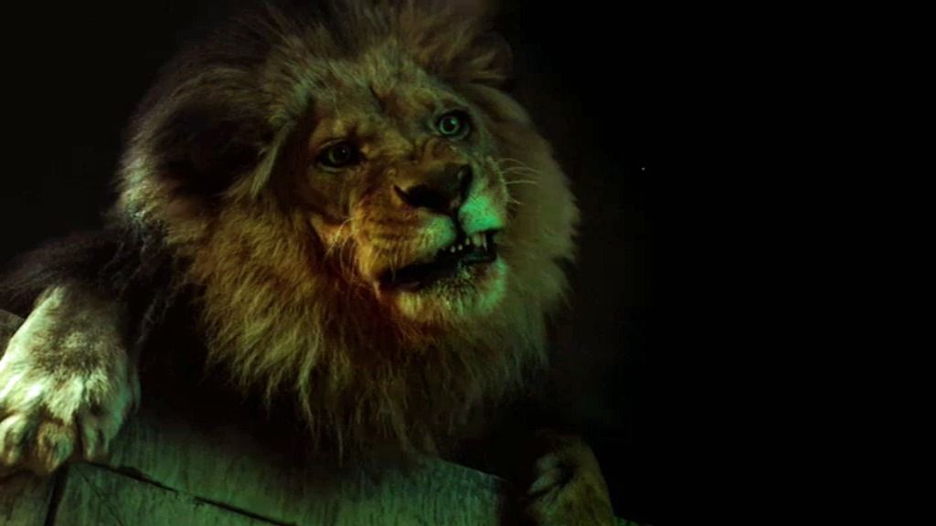 Un león mata a un vigilante nocturno en el zoológico de Los Ángeles