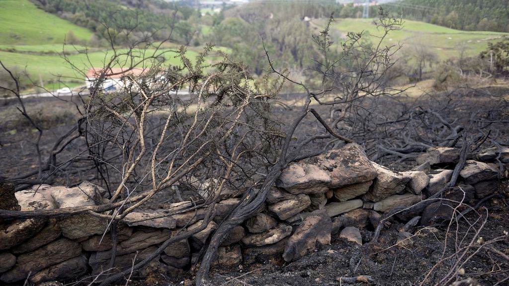 Terminan los incendios en Cantabria