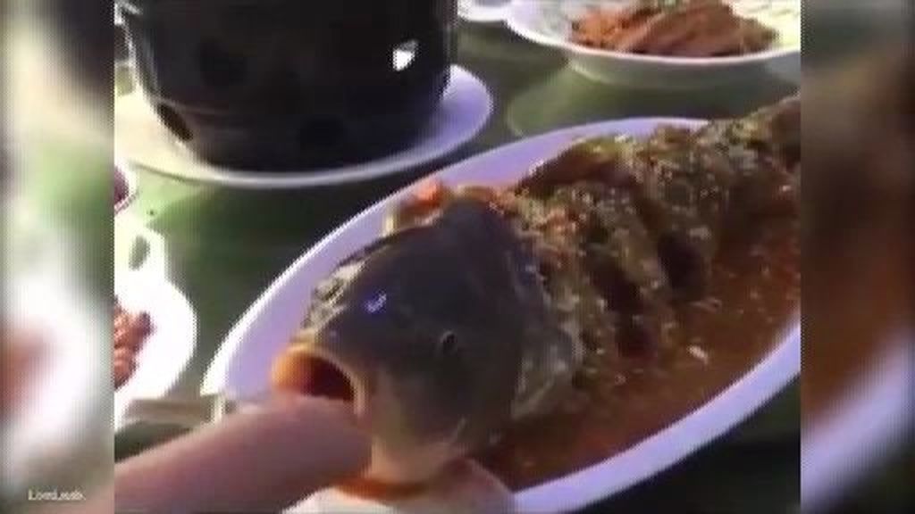 Un pez 'vuelve a la vida' en el plato