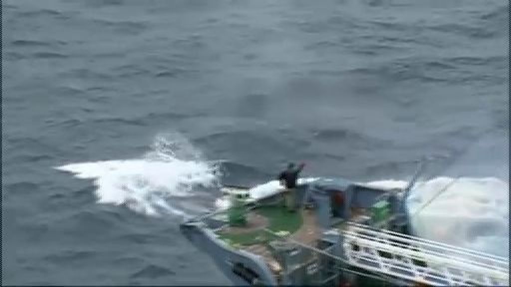 Japón vuelve a cazar ballenas