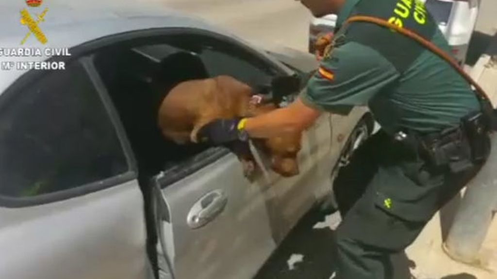 Rescatan a un perro que había sido encerrado dentro de un coche a pleno sol