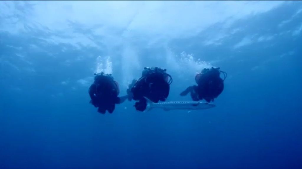 El nieto de Cousteau bate el récord de su famoso abuelo