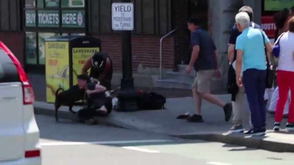 Una mujer se mete en medio del ataque de un pit bull para salvar a su perro