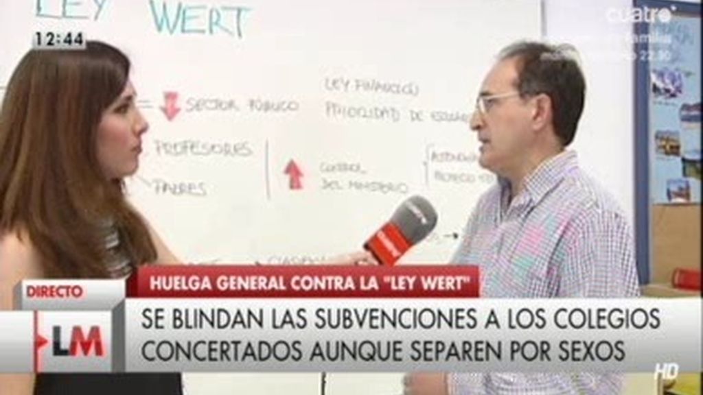 ¿Cuáles son las principales preocupaciones de los profesores sobre la 'Ley Wert'?