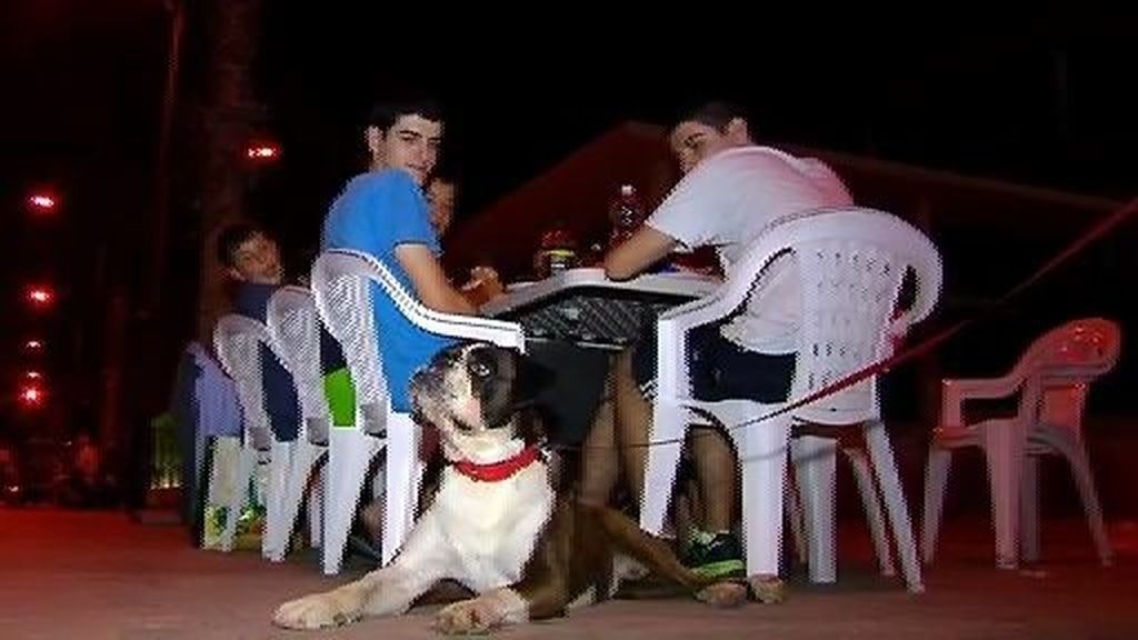 Picnic 'low cost' en la Malvarrosa